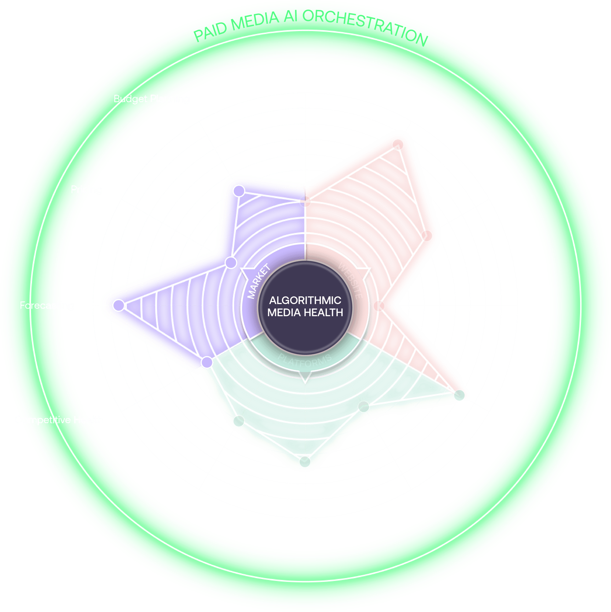 AMH_Spider-Diagram_Market-Segment_Transparent