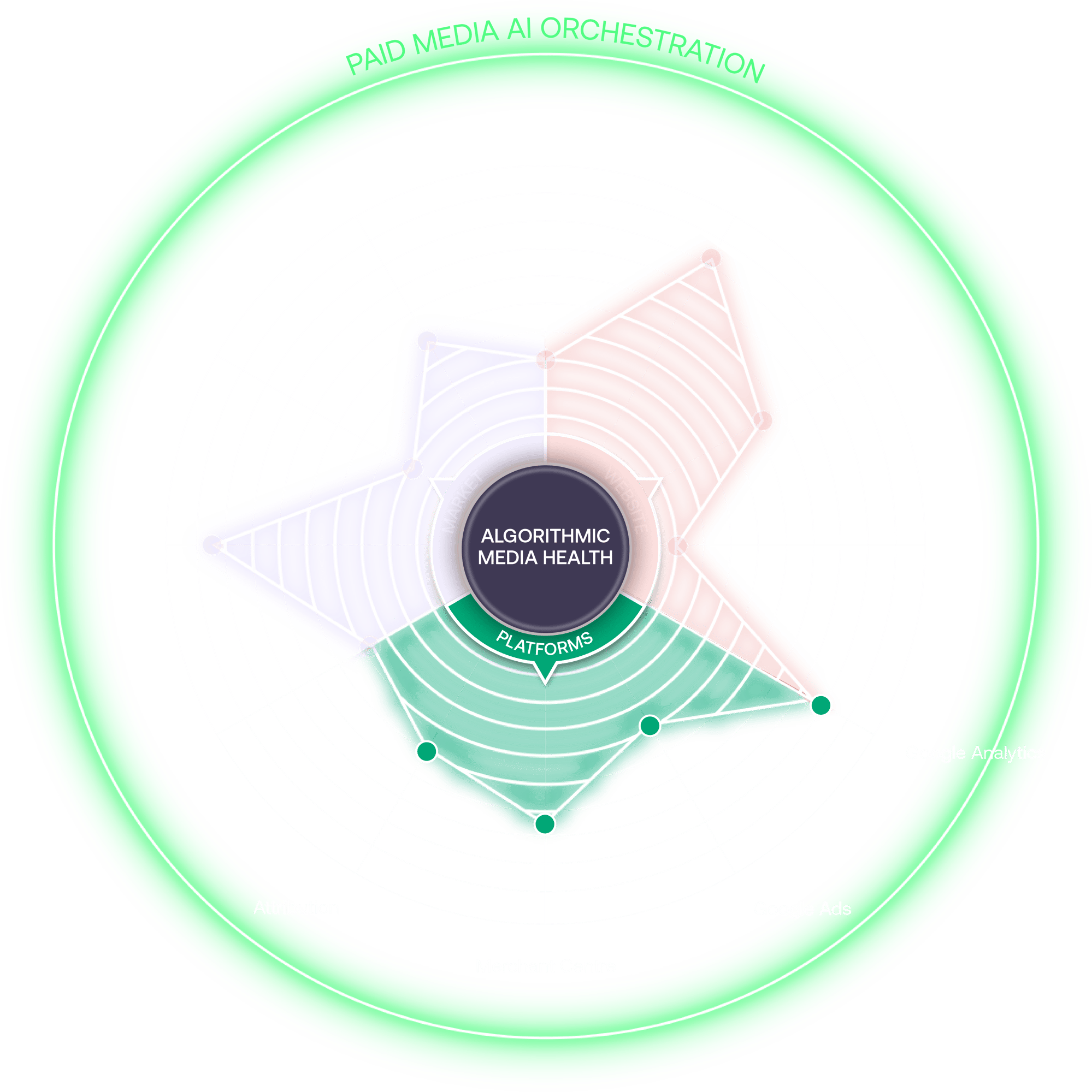 AMH_Spider-Diagram_Platform-Segment_Transparent