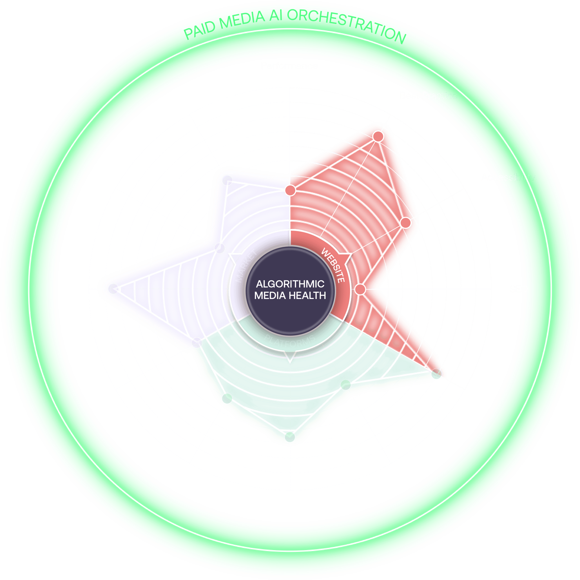 AMH_Spider-Diagram_Website-Segment_Transparent